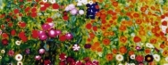 Le champ de fleurs Highslide JS
