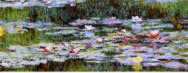 Le bassin aux nymphéas Highslide JS