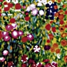 Le champ de fleurs Le champ de fleurs