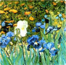L'iris blanc L'iris blanc