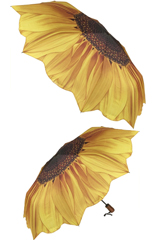 Les tournesols Les tournesols